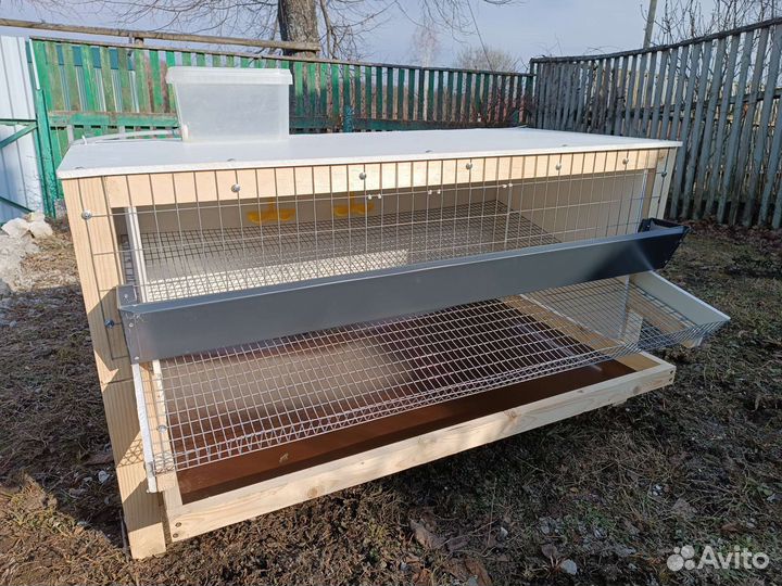 Клетка для перепелов