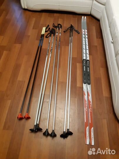 Беговые лыжи