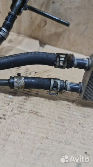 Радиатор масляный Infiniti Fx50 S 51 VK50VE