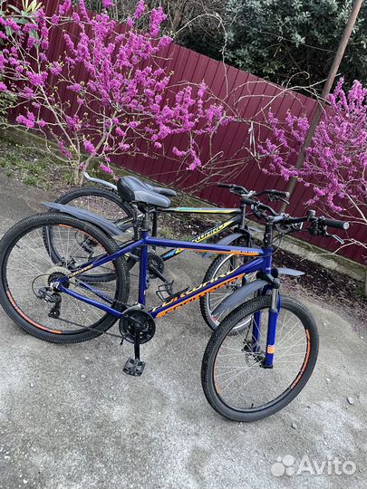 Велосипеды-Аренда