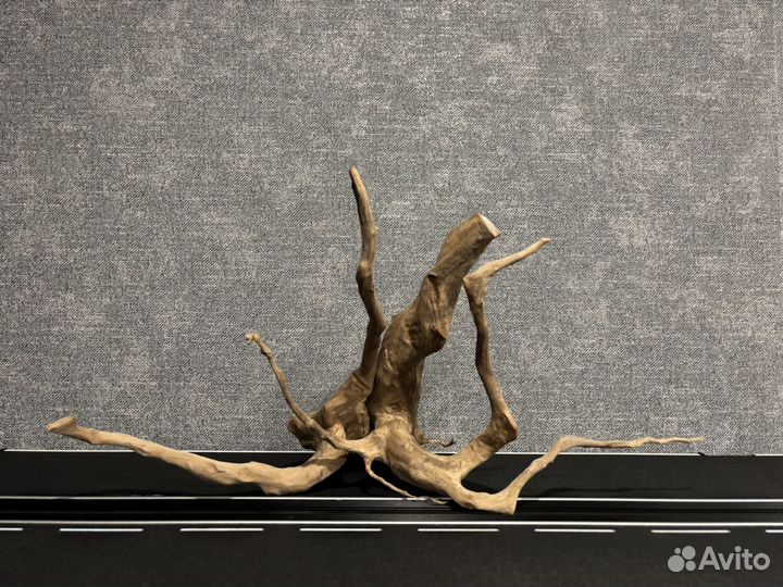 Коряга