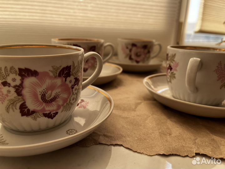 Чайные пары вербилки