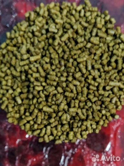 Гречишный чай 100г