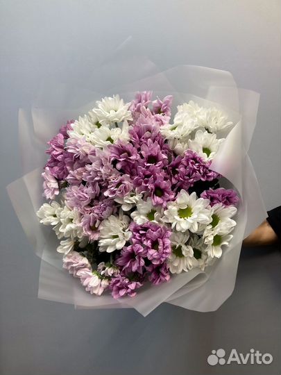 101 Роза букеты Цветы 51 доставка 24/7