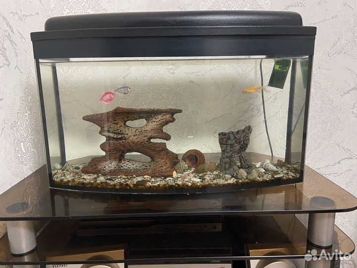 Аквариум с рыбками