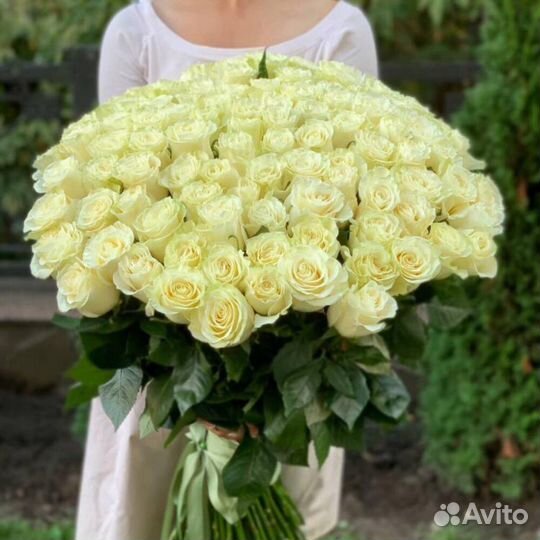 101 Роза Эквадор. Доставка