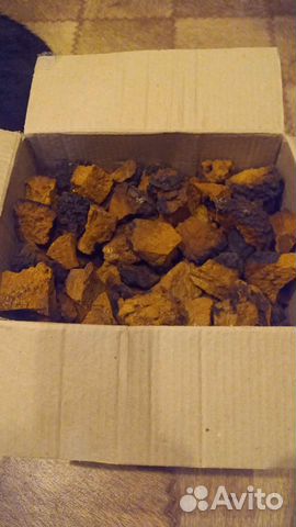 Чага березовая кусочками и молотая