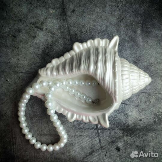 Ракушка декоративная