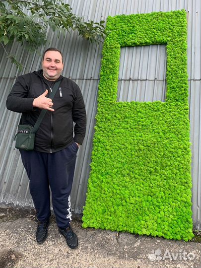 Стабилизированный мох, ягель, кочка, пласт, панно