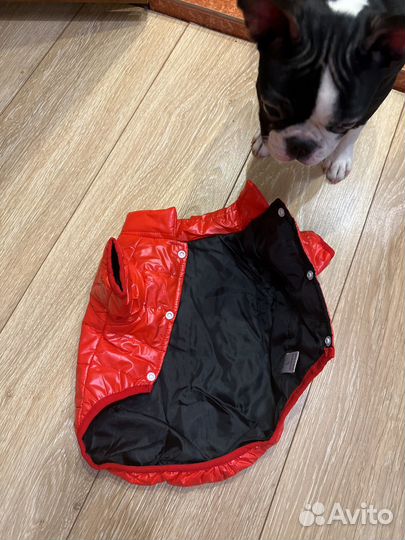 Комбинезон для собаки