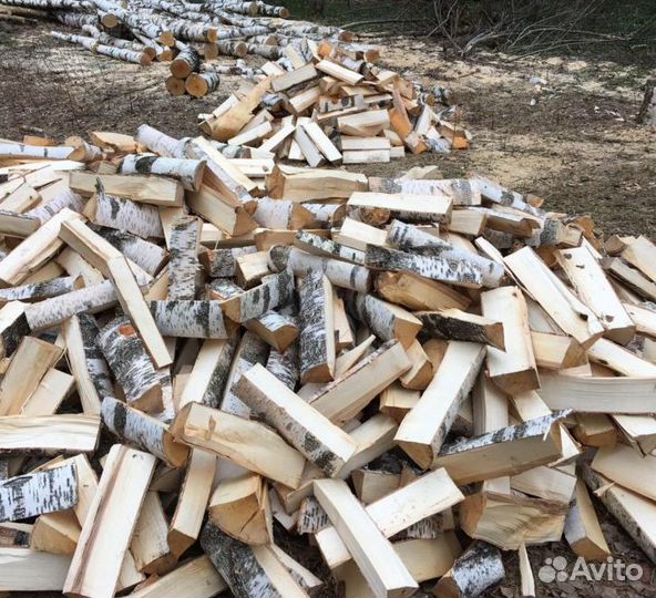 Дрова осина