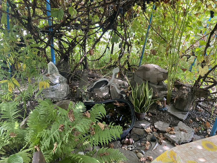 Дом 73,2 м² на участке 14,5 сот.