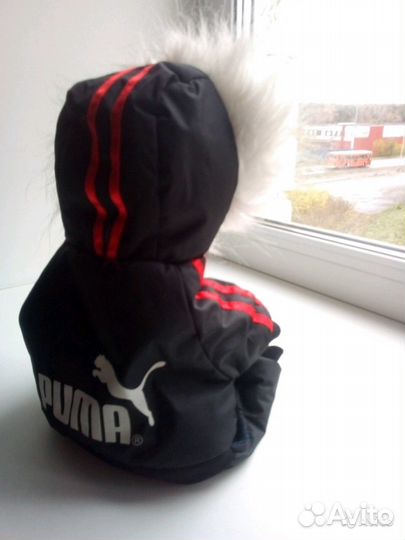 Зимний костюм для Той терьера