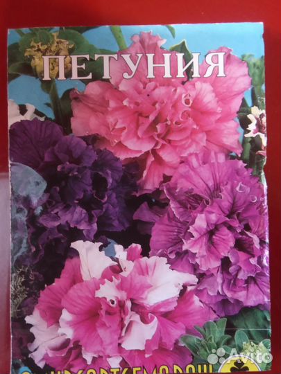 Рассада томатов, перца(сладкого, горького),цветов