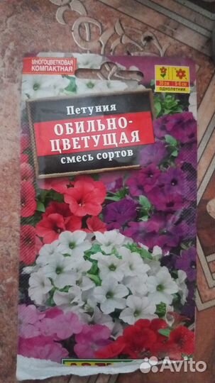 Петуния