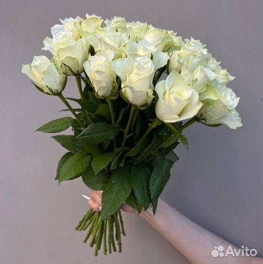 25 роз. Розы 40 см. Букеты. Доставка. Калининград