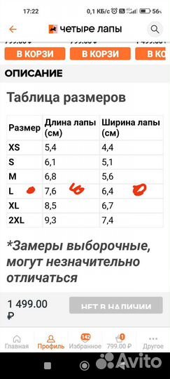 Обувь для собак