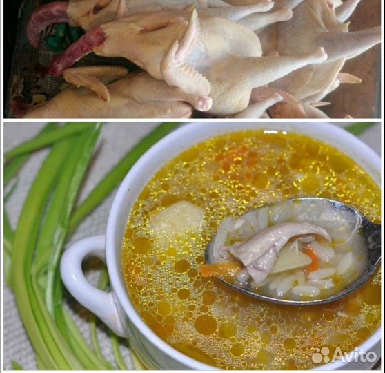 Мясо утки, кур