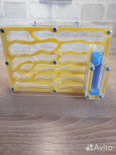 Муравьиная ферма