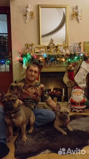 Гостиница для собак