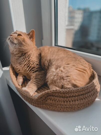 Лежанка для питомца из джута