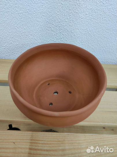 Бонсайницы