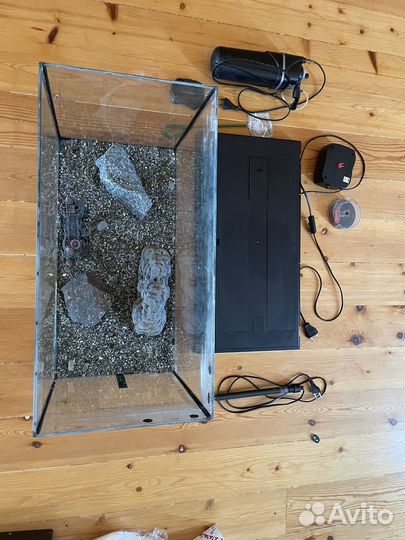 Большой аквариум