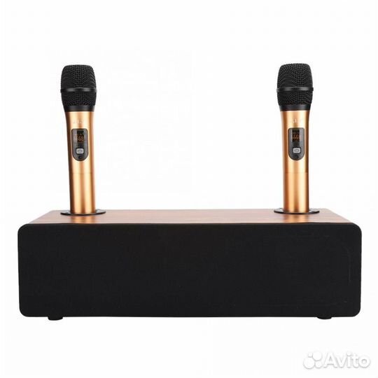 Караоке-система 120W С двумя микрофонами
