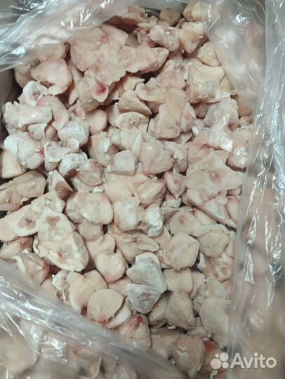 Корм для животных