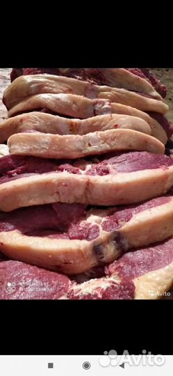 Продаю мясо говядина, конина, баранина