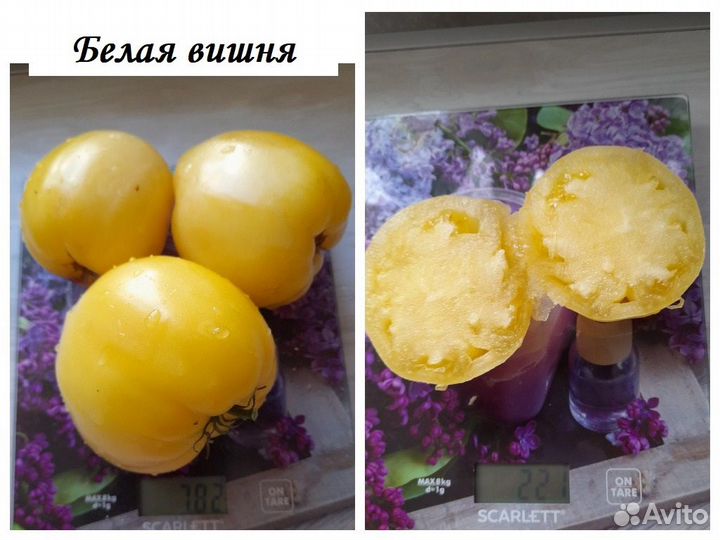 Семена крупноплодных томатов много сортов