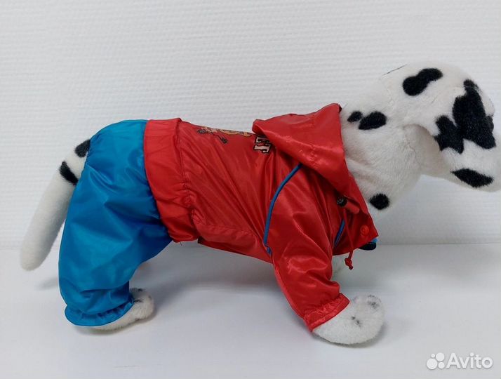 Одежда для собак