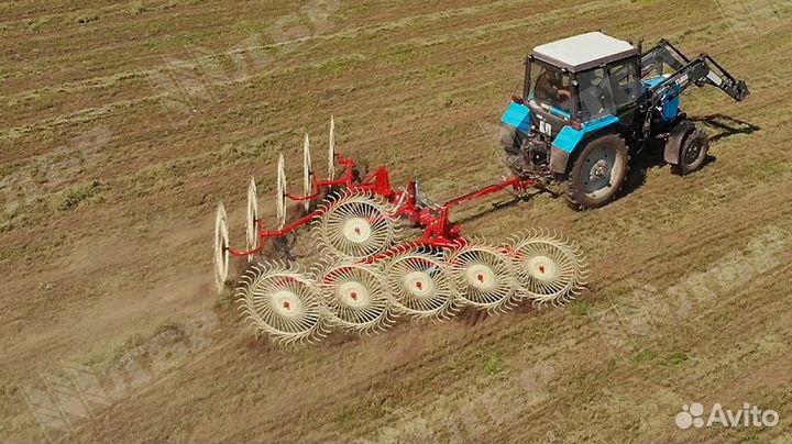 Грабли Enorossi CADDY-10, 2024