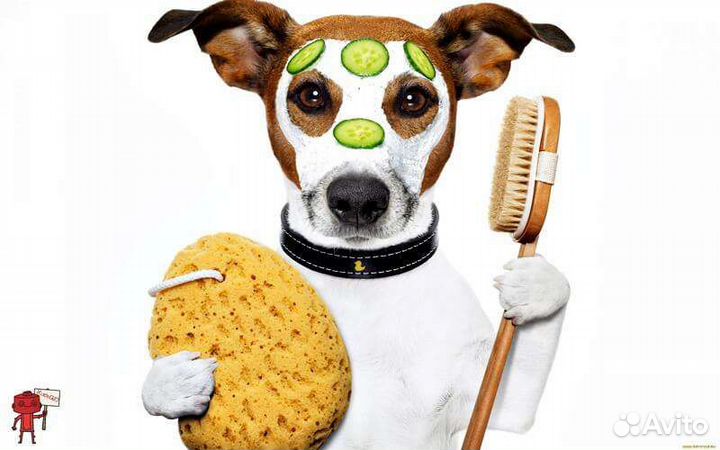 Модель на груминг