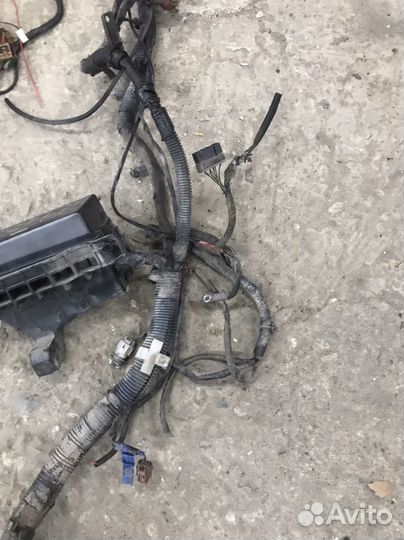 Проводка моторного отсека Nissan Presage U30