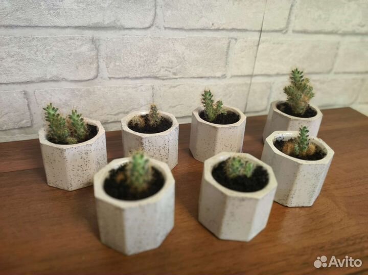 Интерьерные изделия из гипса с кактусом кашпо