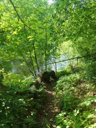 Дача 25 м² на участке 4,8 сот.