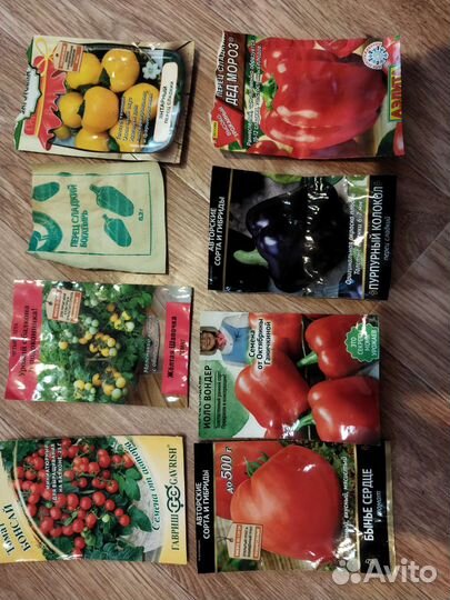 Продаю рассаду перца