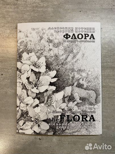 Ботаническая иллюстрация