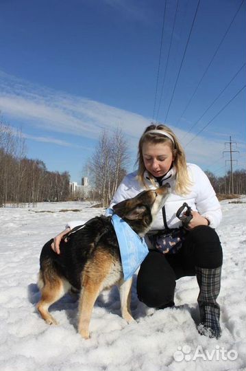 Застегчивый и робкий Зайчик поладит со всеми