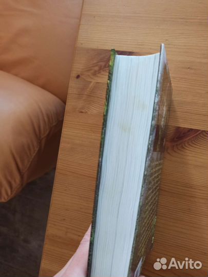 Книга Несвятые святые