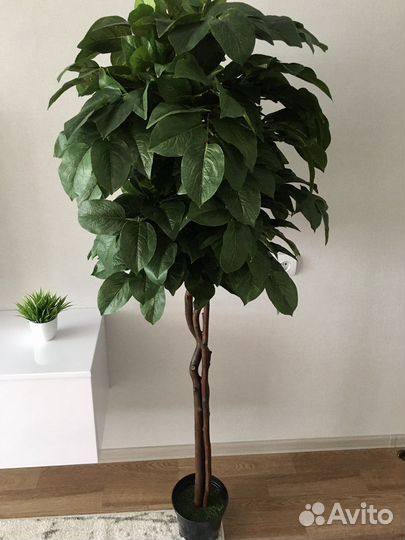 Искусственное дерево Фикус