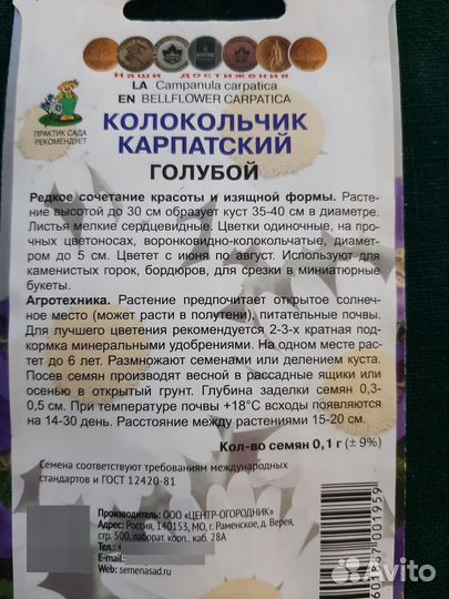 Колокольчик карпатский