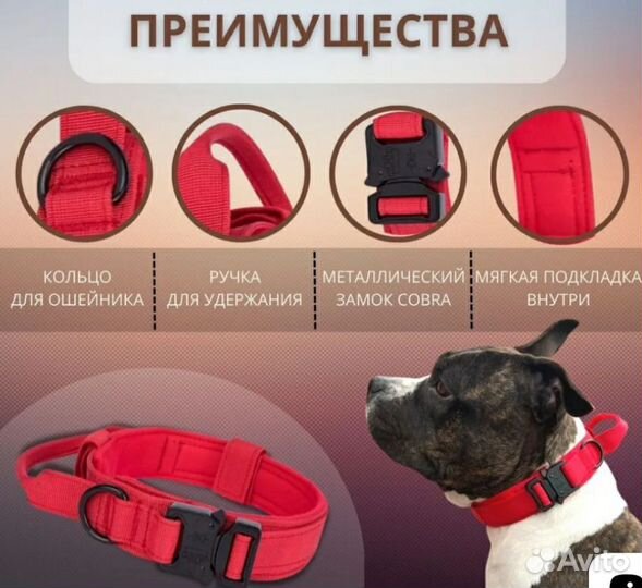 Ошейник для собак крупных пород