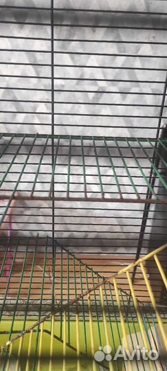 Клетка для грызунов