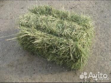 Сено в тюках