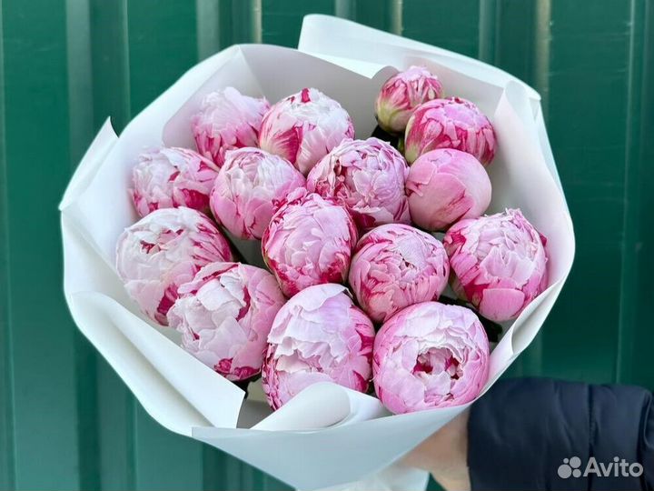 Пионы Доставка цветов букеты