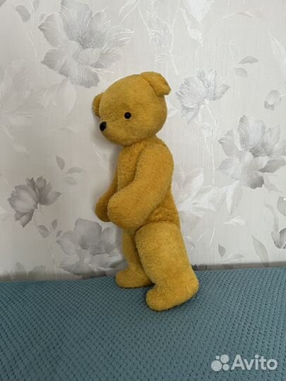 Медведи СССР