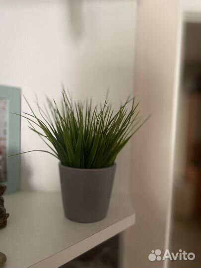 Искусственные растения для декора