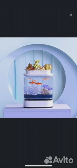 Акваферма xiaomi мини аквариум